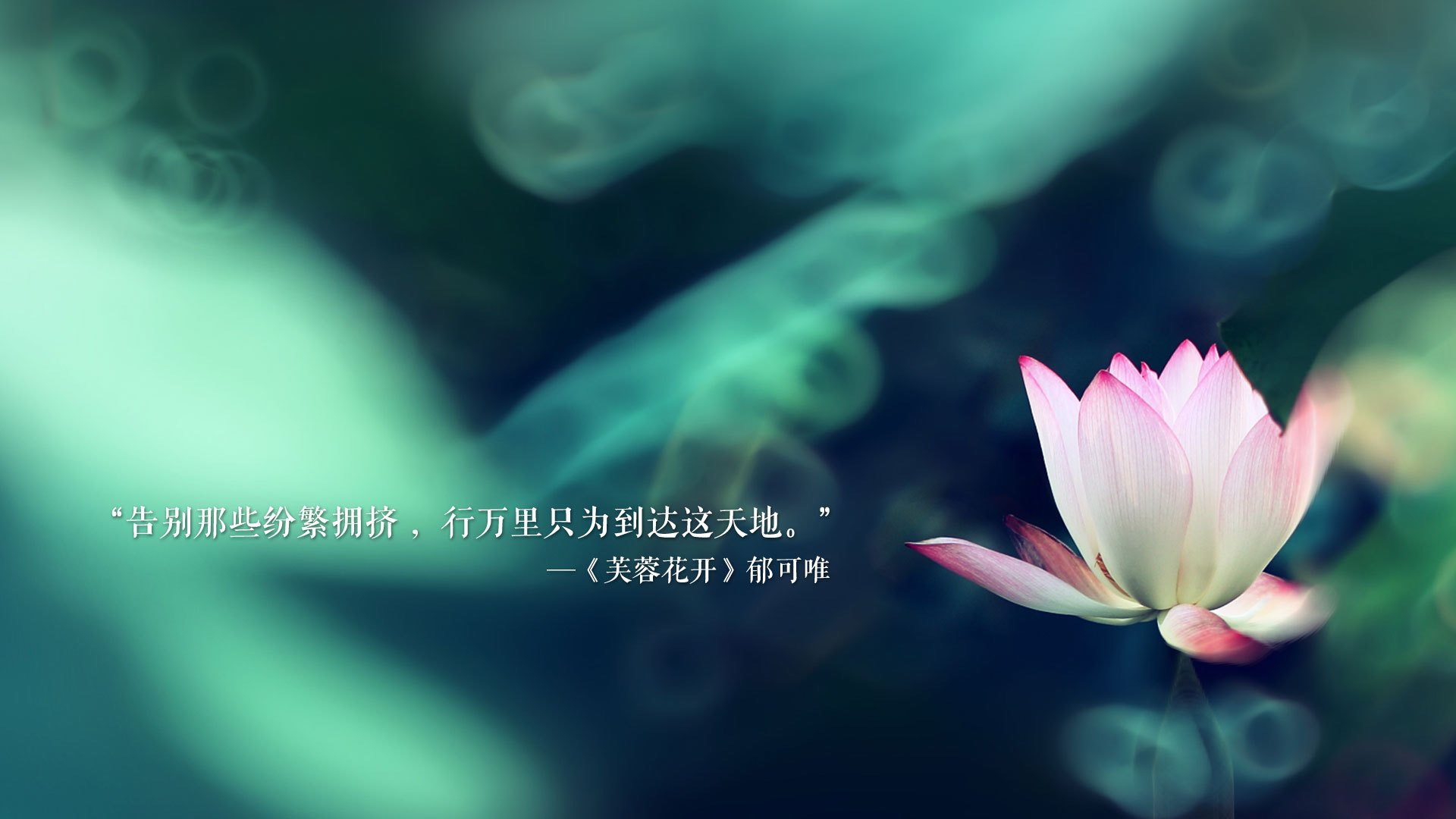 LeyuSports-乌拉圭队在巴黎奥运会比赛中展现出高效的传球配合，乌拉圭足球奥运会-LeyuSports