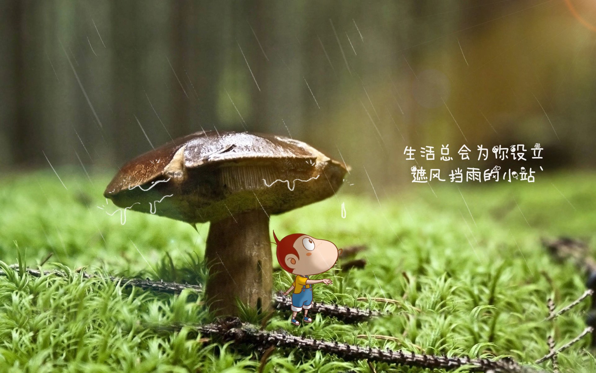 LEYU SPORTS中国官方网站-罗马尼亚队无缘晋级半决赛：智利连笑局破，罗马尼亚联赛冠军-LEYU SPORTS中国官方网站