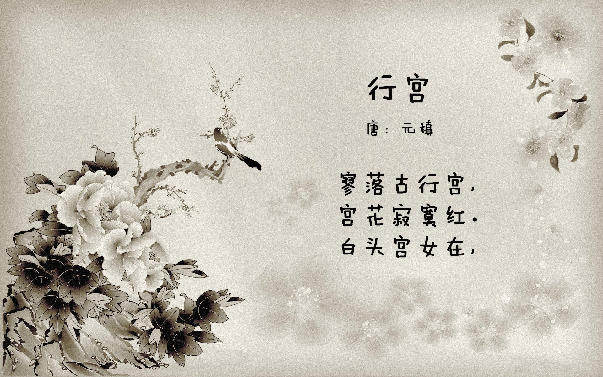 比利时男篮在欧洲预赛中坚持不懈，冲击奥运舞台，比利时男篮3v3