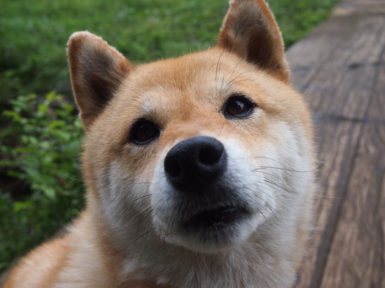 网球国家队体能储备计划全面启动,网球运动实用体能训练