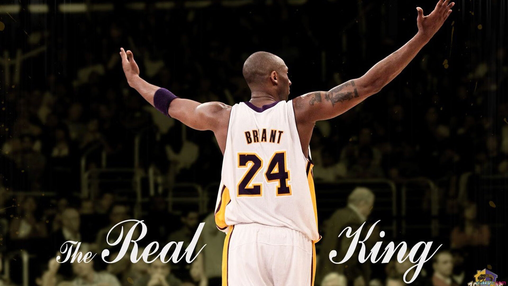 团队火力：北京队助攻竟高达23次，配合天衣无缝！，北京队球员介绍